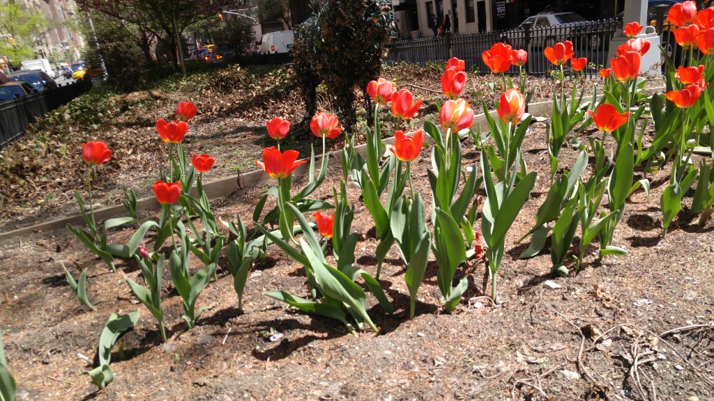 LG G4 Review - Camera Samples - Auto Mode - LGG4 - #ExploreLGG4 - Analie Cruz (10)