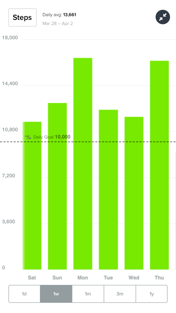 Fitbit Surge Review - Analie Cruz  (3)