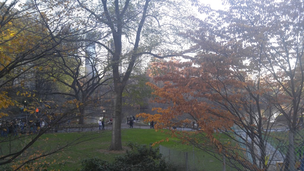 LG V10 - LGV10 Camera Sample - Analie Cruz