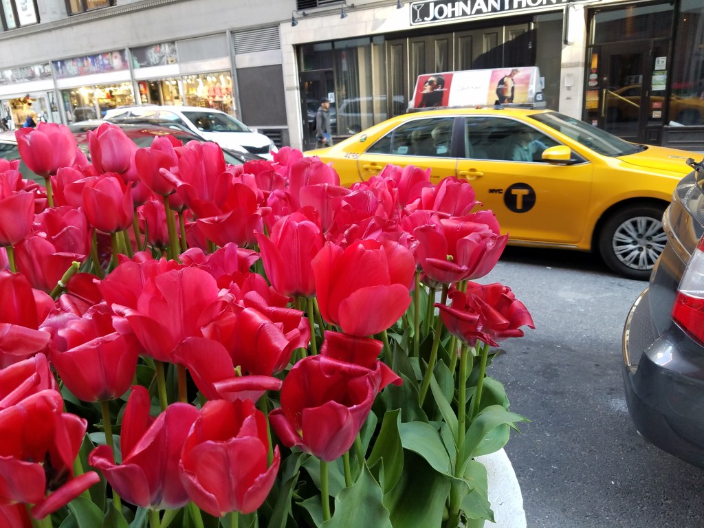 Samsung Galaxy S7 Edge Review - Rear Camera Sample #GalaxyS7Edge Samsung Galaxy S7 Edge Review - Rear Camera Sample #GalaxyS7Edge - Analie Cruz (7)