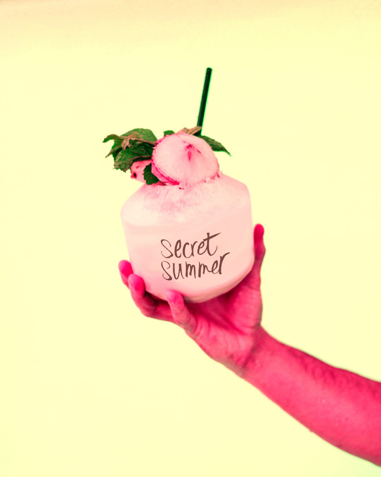 Secret Summer Festival 2017 NYC